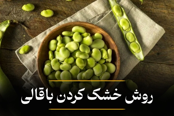 خشک کردن باقالی